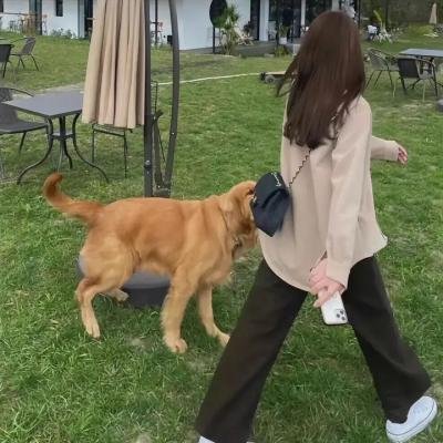 给我一个爸