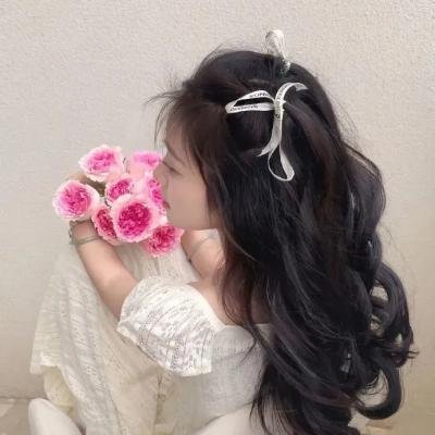 霍莉